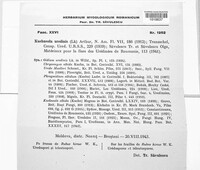 Kuehneola uredinis image